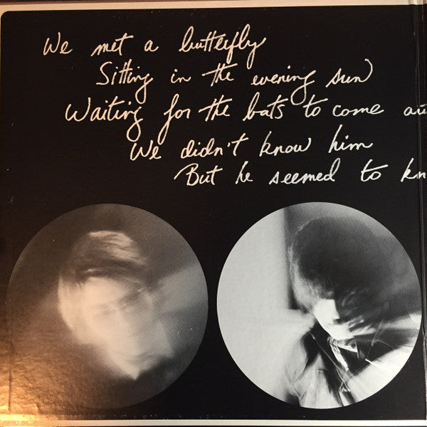 Brian Browne : The Letter (LP, Album, Gat)