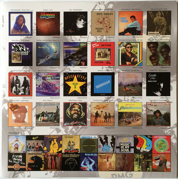 Berkley Jones : Nation Building (LP, Album, RE)