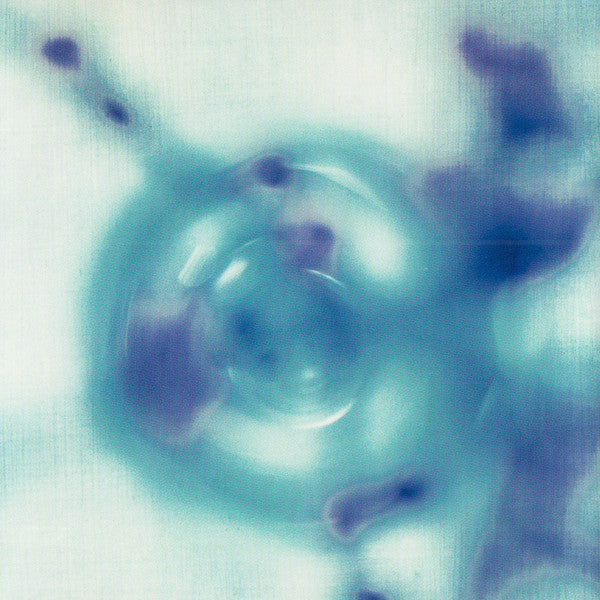 Cattleya : Madeleine (CD, Album)