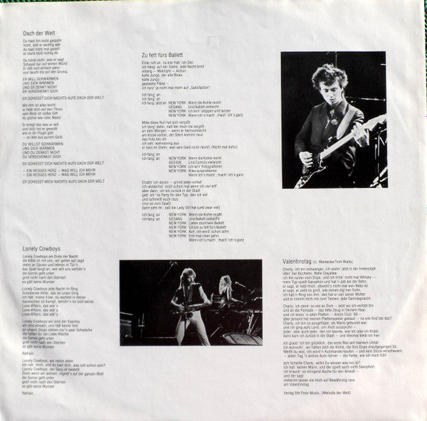 Ulla Meinecke : Nächtelang (LP, Album)