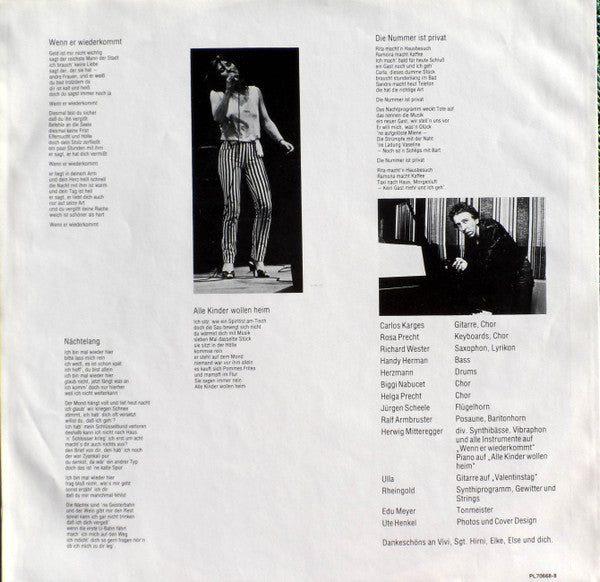 Ulla Meinecke : Nächtelang (LP, Album)