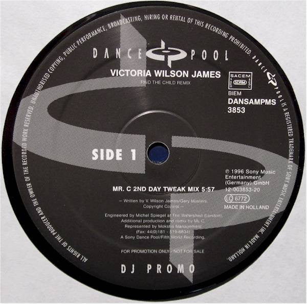 Victoria Wilson-James : Find The Child (Remix) (12", Promo)