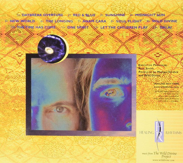 Wild Divine Band : Soul Flight (CD, Album)