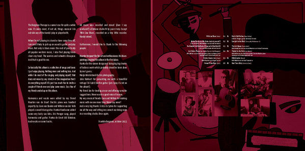 The Bergman Therapy : Hard Times Baby (LP, Album)