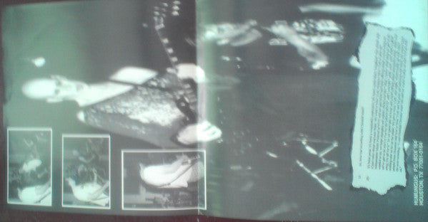 Humungus And Cheetah Chrome : Ain't It Fun (7")