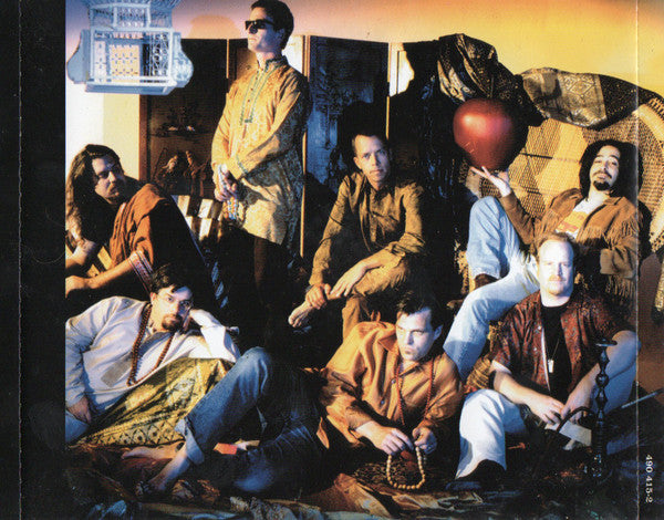 Counting Crows : This Desert Life (CD, Album)