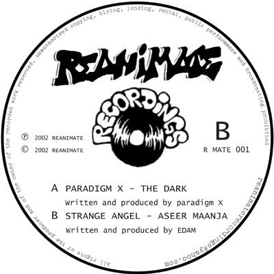 Paradigm X / Strange Angel : The Dark / Aseer Maanja (12")