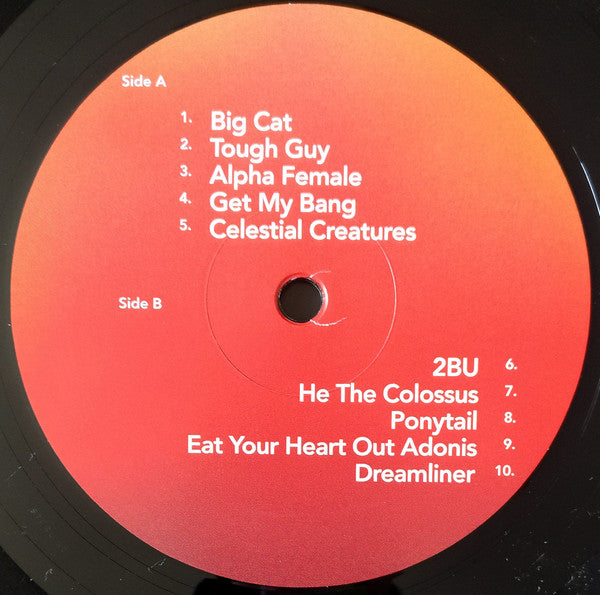 Wild Beasts : Boy King (LP, Album + 7" + Dlx)