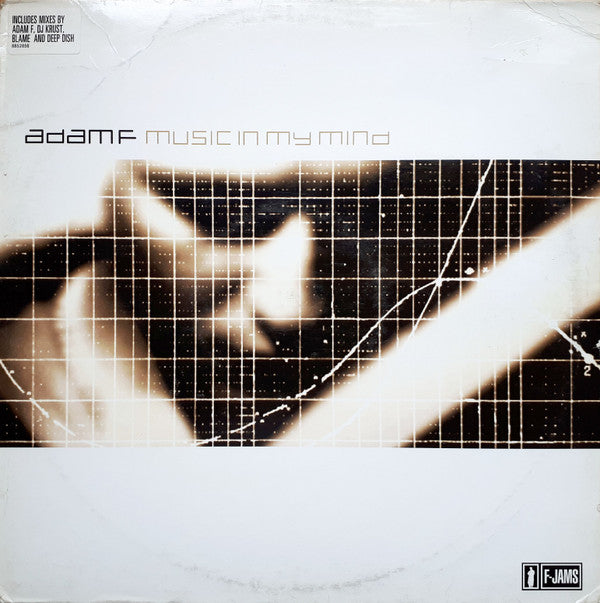 Adam F : Music In My Mind (12", Single)