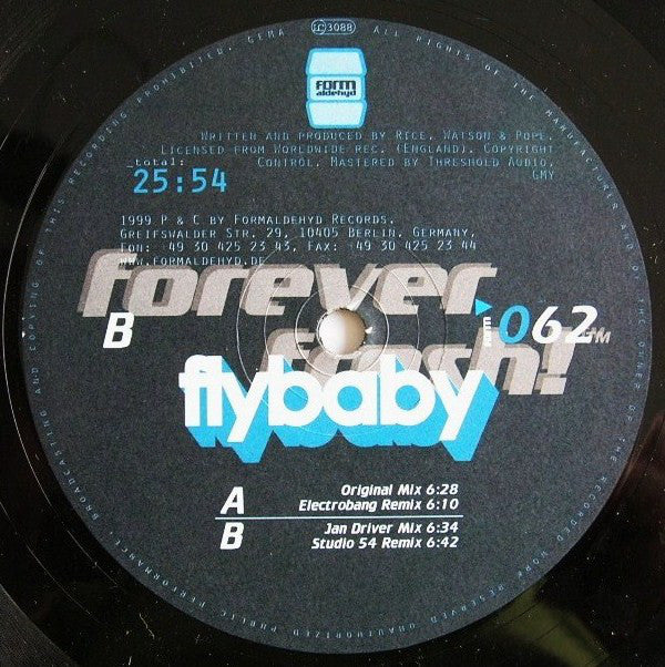 Flybaby : You Must Admit '99 (12")