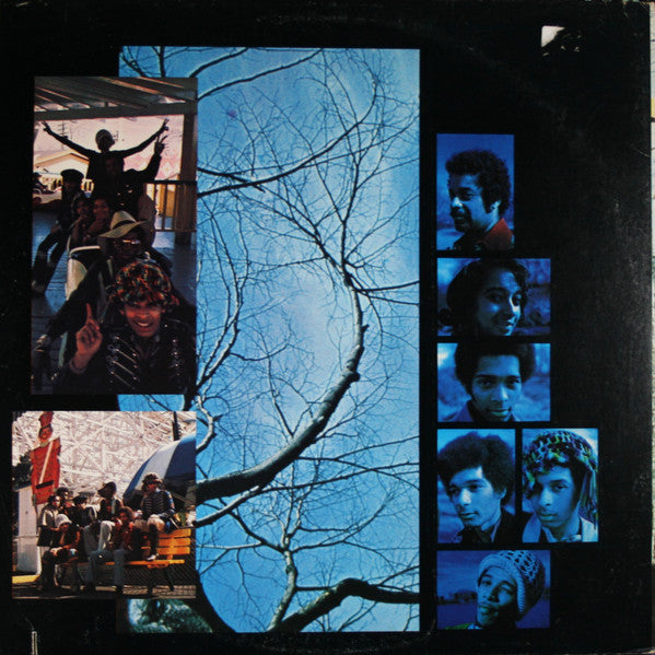 Five Stairsteps : Stairsteps (LP, Album, Fli)