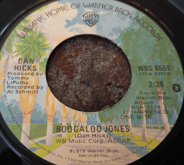 Dan Hicks : Garden In The Rain / Boogaloo Jones (7")