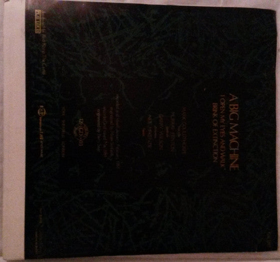 Artery (2) : A Big Machine (12", TP)