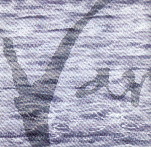 Vanessa-Mae : The Violin Player (CD, Album)