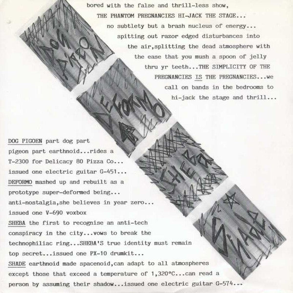 The Phantom Pregnancies / Rent Boy Assassin : Hi-Jack The Stage / Rent Boy Assassin (7")