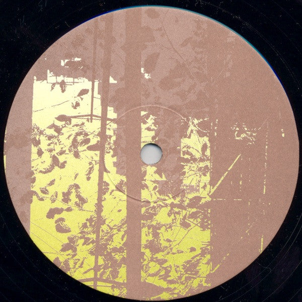 Caia : Themagicdragon Ep#2 (10", EP)