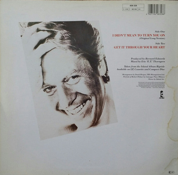 Robert Palmer : I Didn't Mean To Turn You On (12", Maxi)