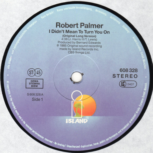 Robert Palmer : I Didn't Mean To Turn You On (12", Maxi)