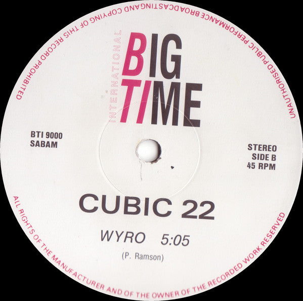 Cubic 22 : Rave The Reflex (12")