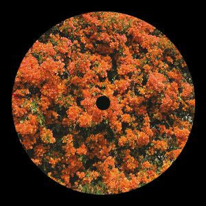 Aschof Mal : Came Home From Work And Your House Was Missing (12", EP)