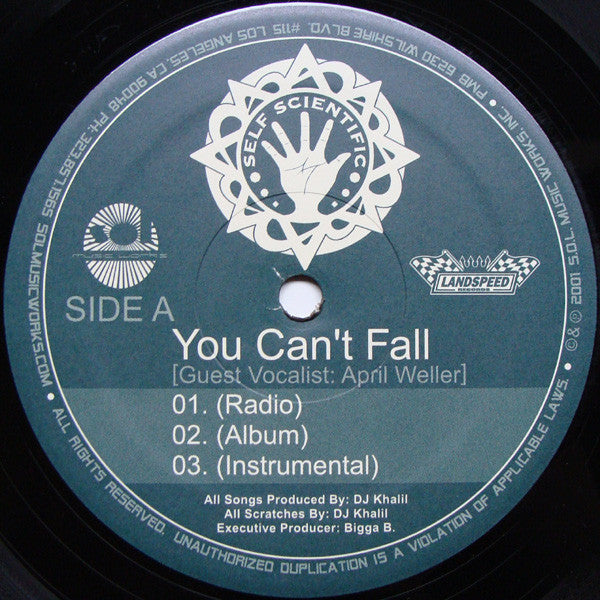 Self Scientific : You Can't Fall (12", Single)