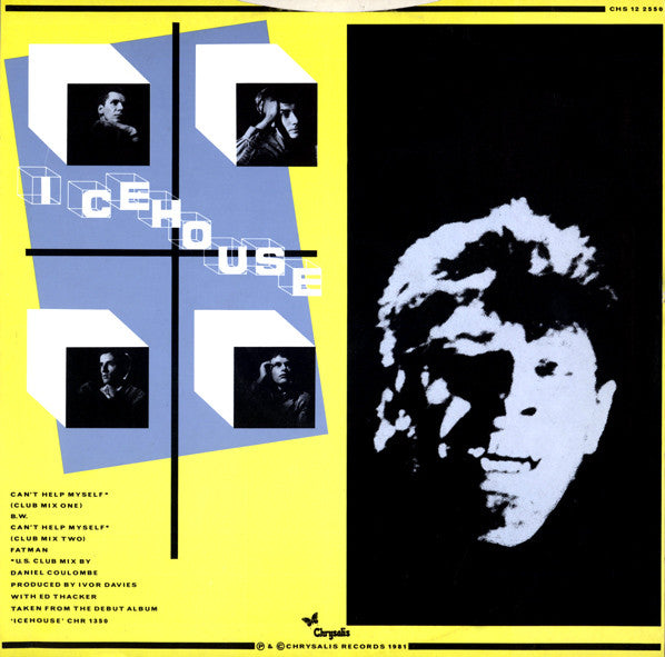 Icehouse : Can't Help Myself (12", Single)