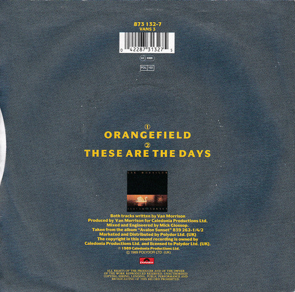 Van Morrison : Orangefield (7", Single)
