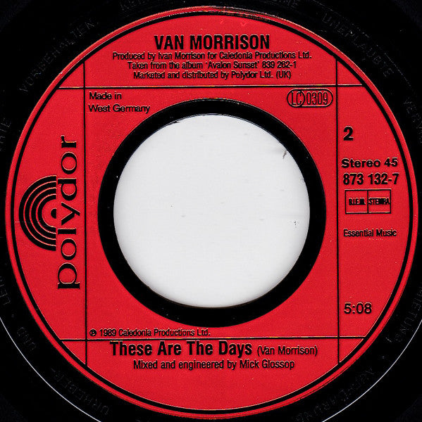 Van Morrison : Orangefield (7", Single)