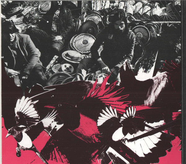 The Avett Brothers : Magpie And The Dandelion (CD, Album)