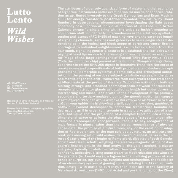 Lutto Lento : Wild Wishes (12", EP)