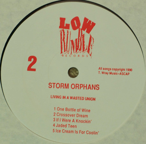 Storm Orphans : Living In A Wasted Union  (LP, Album)
