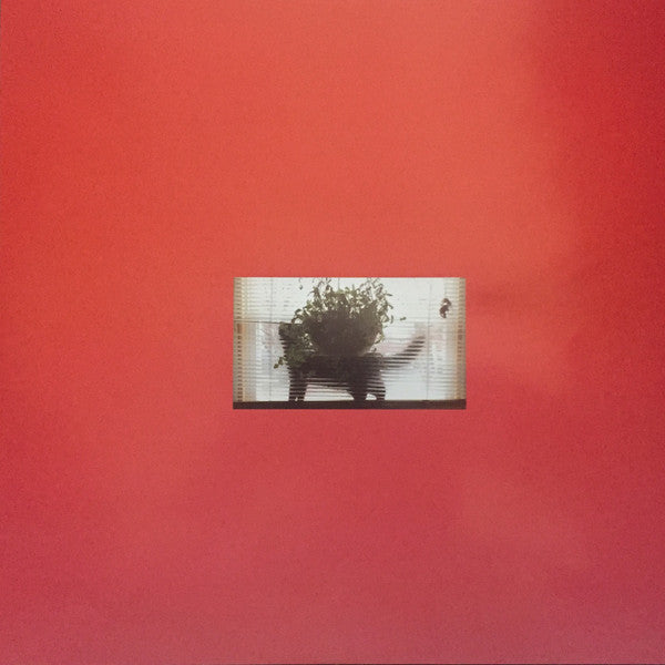 Meat Wave : The Incessant (LP, Album)