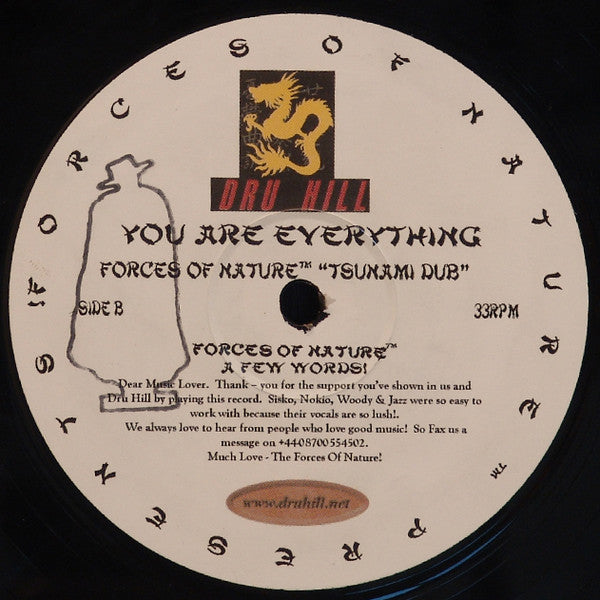 Dru Hill : You Are Everything (12", M/Print)