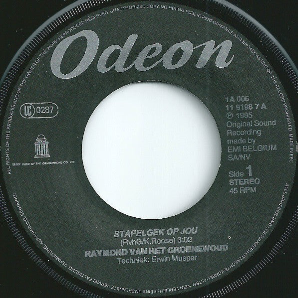 Raymond van het Groenewoud : Stapelgek Op Jou (7", Single)